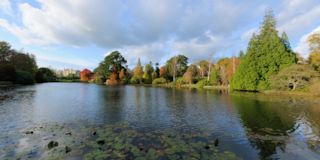 Sheffield Park - Autumn Colours